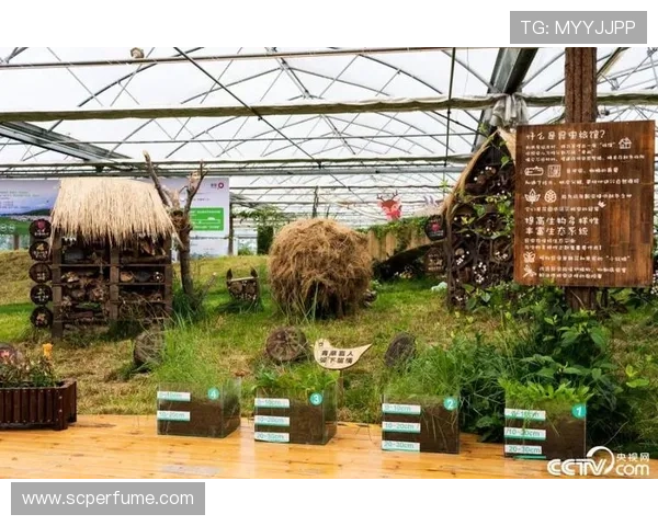 英皇国际：打造智慧娱乐生态体系实现行业全面升级